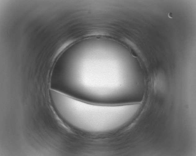 X0000082691129200701260947