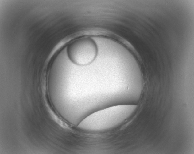 X0000082691130200701260947