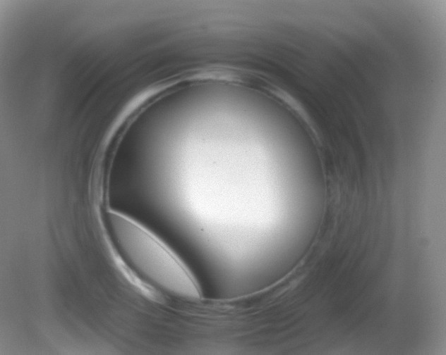 X0000082691131200701260948