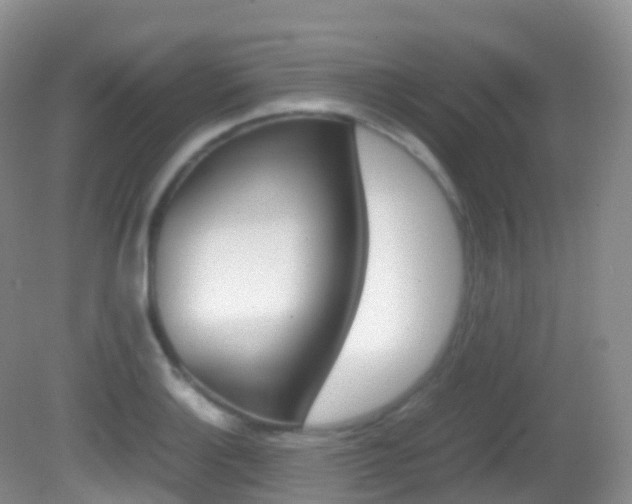 X0000082691132200701260948