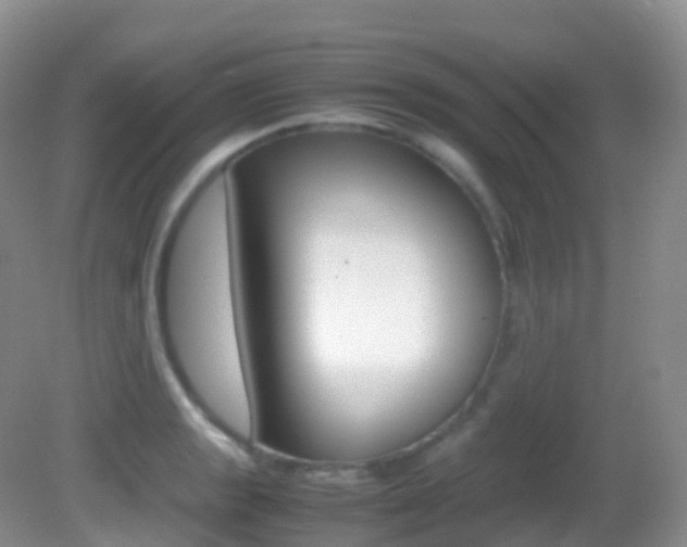 X0000082691133200701260948
