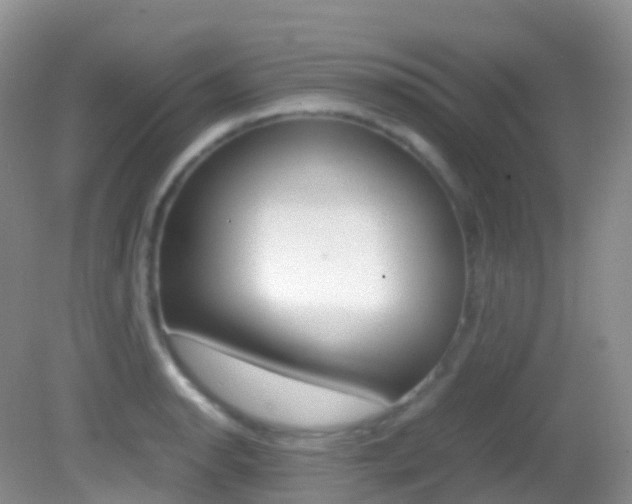 X0000082691134200701260948