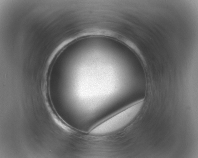 X0000082691136200701260948