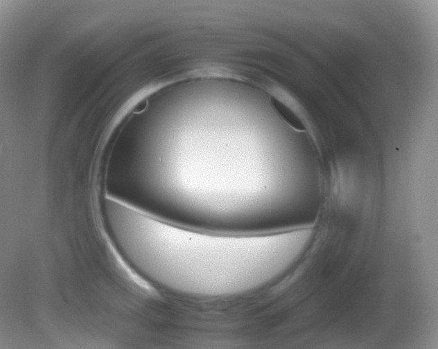 X0000082691141200701260948
