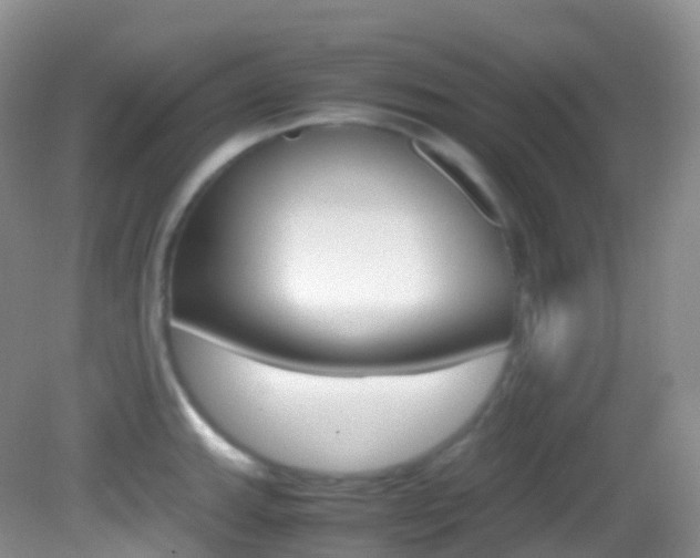 X0000082691143200701260948