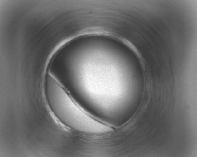 X0000082691144200701260948