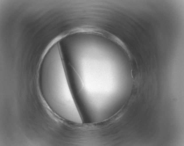 X0000082691146200701260948