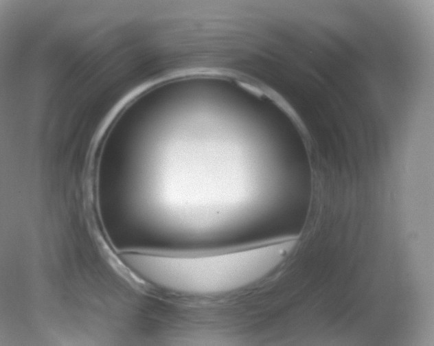 X0000082691148200701260948