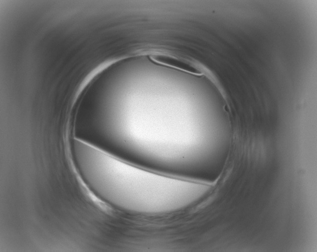 X0000082691149200701260948