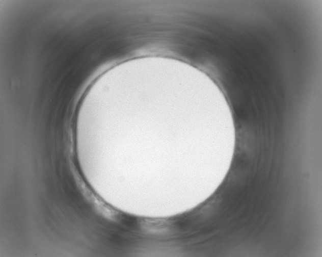X0000082691150200701260948