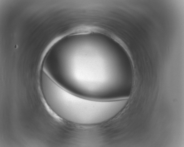 X0000082691152200701260948