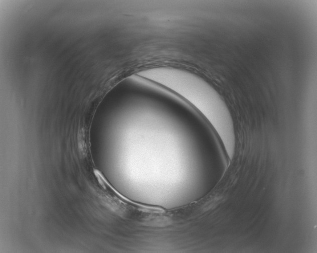 X0000082691156200701260947