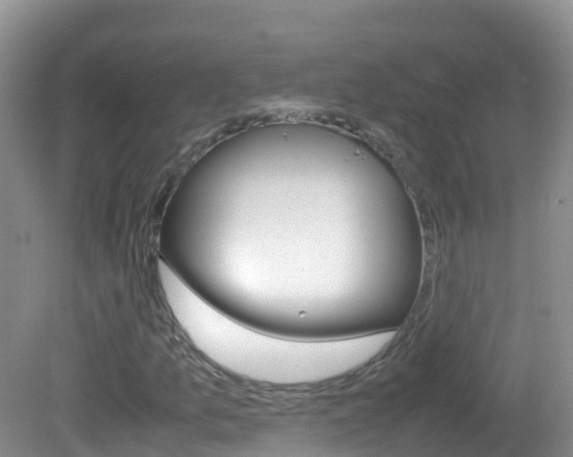 X0000082691157200701260947
