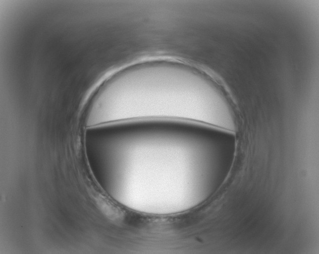 X0000082691167200701260947