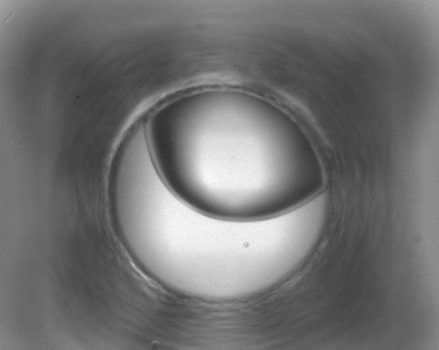 X0000082691168200701260947