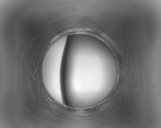 X0000082691169200701260947