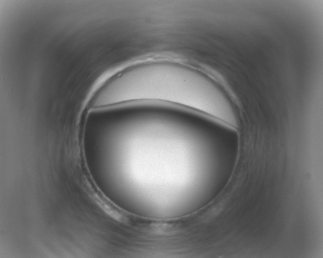 X0000082691176200701260947