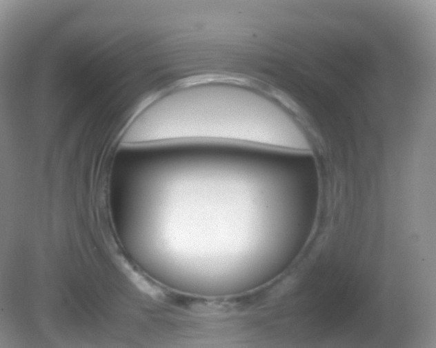 X0000082691185200701260947