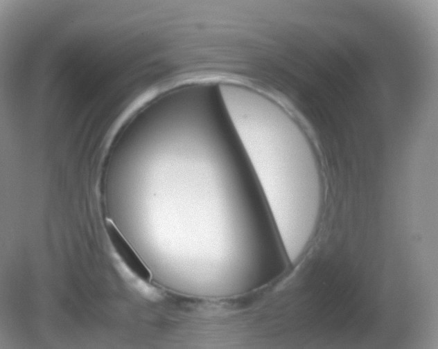 X0000082691189200701260946