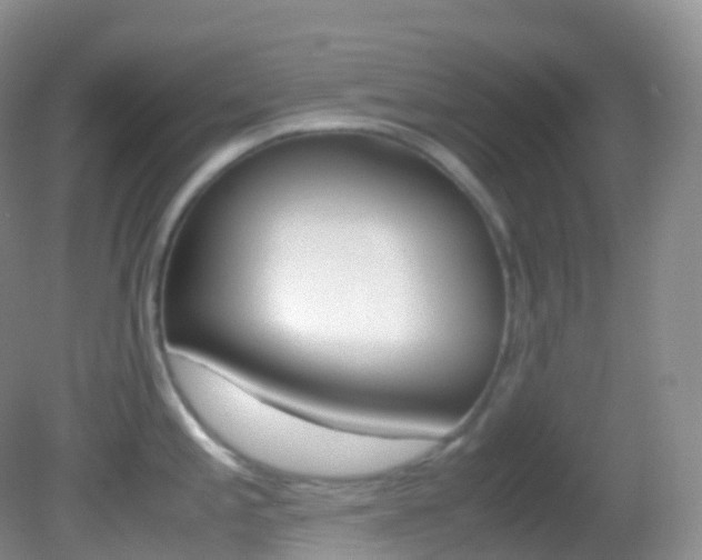 X0000082691197200701260946