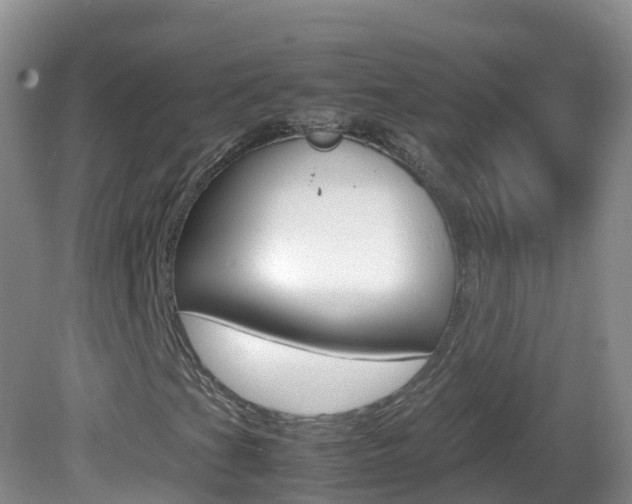 X0000082691201200701260945