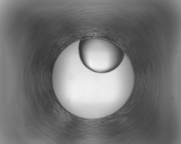 X0000082691202200701260945