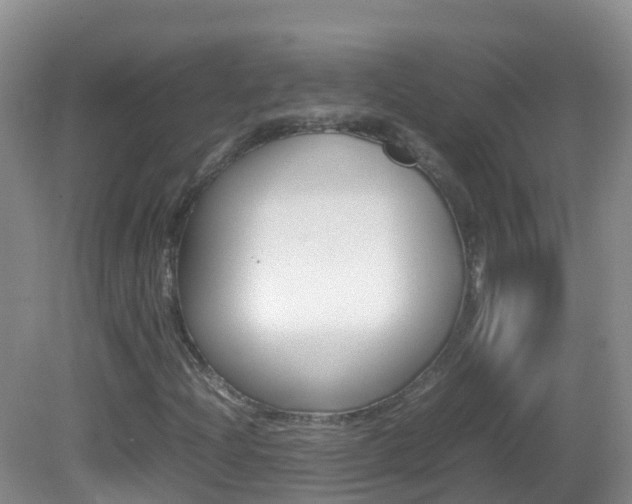 X0000082691204200701260946