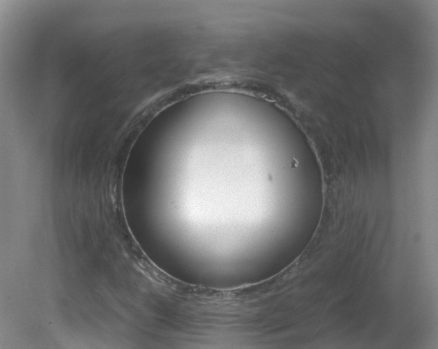 X0000082691206200701260946