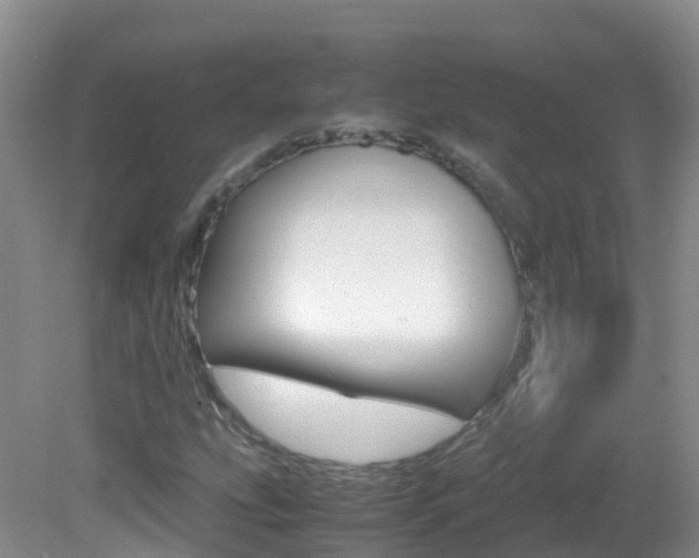 X0000082691207200701260946