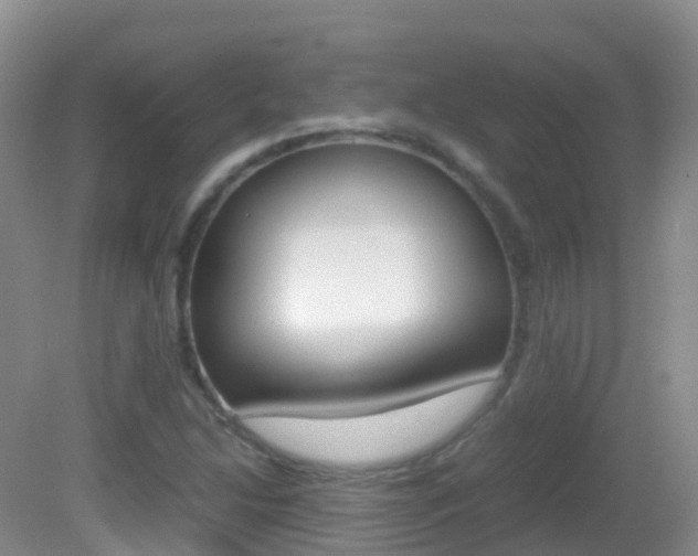 X0000082691214200701260946