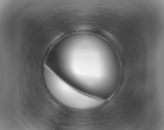 X0000082691217200701260946