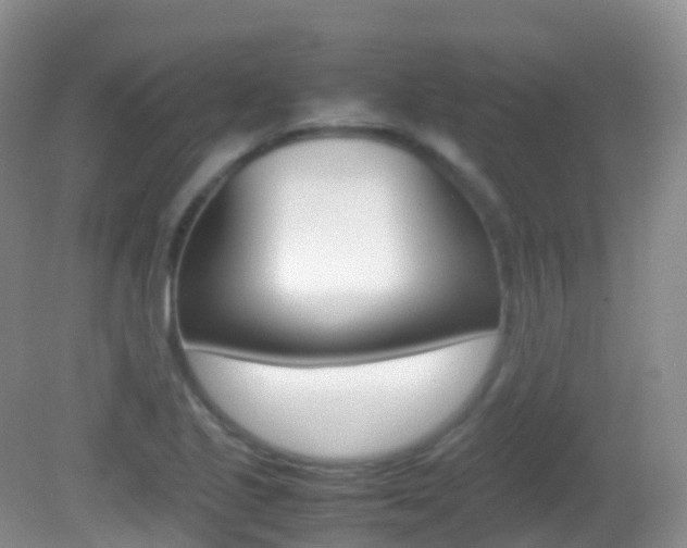 X0000082691221200701260946
