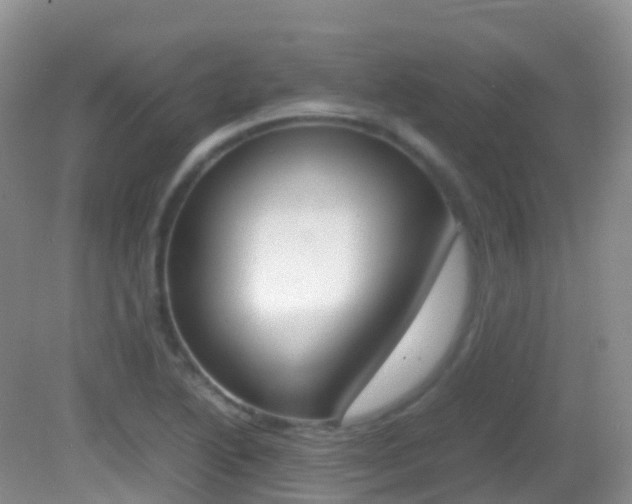 X0000082691222200701260946