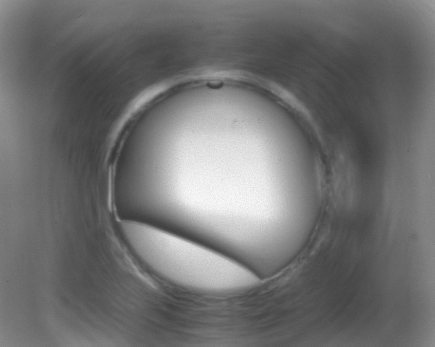 X0000082691223200701260946