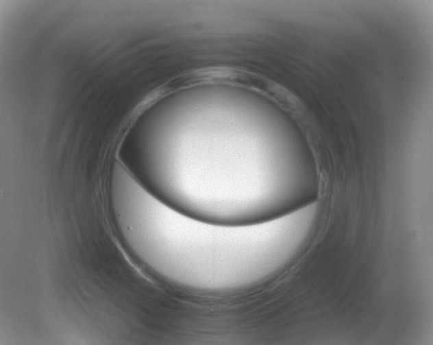 X0000082691225200701260946