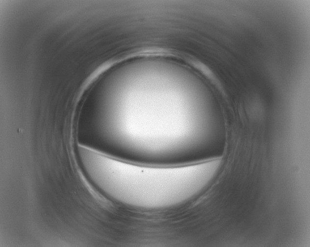 X0000082691229200701260946