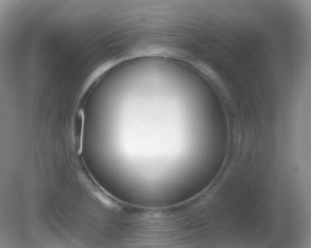 X0000082691230200701260946