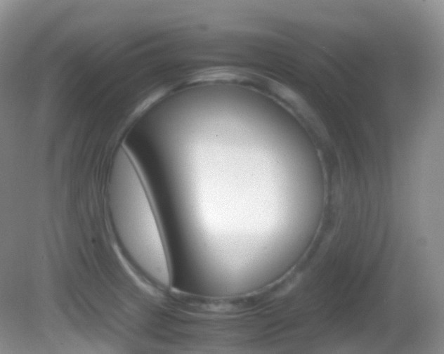 X0000082691233200701260946