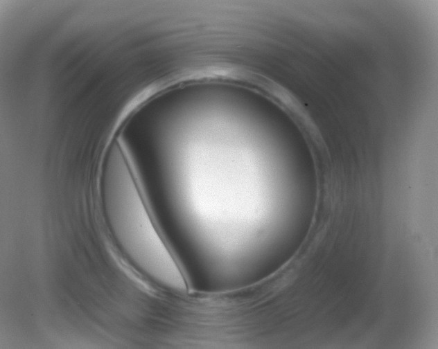 X0000082691234200701260946