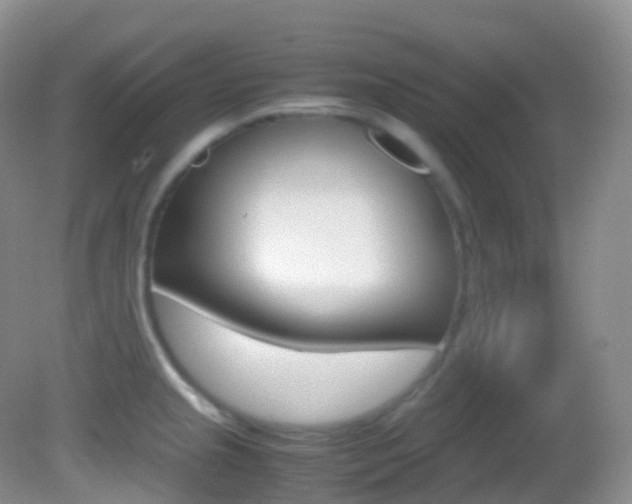 X0000082691237200701260946