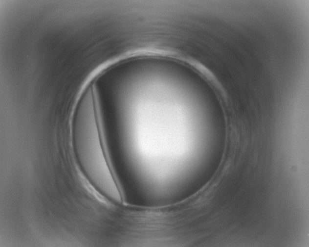 X0000082691238200701260946