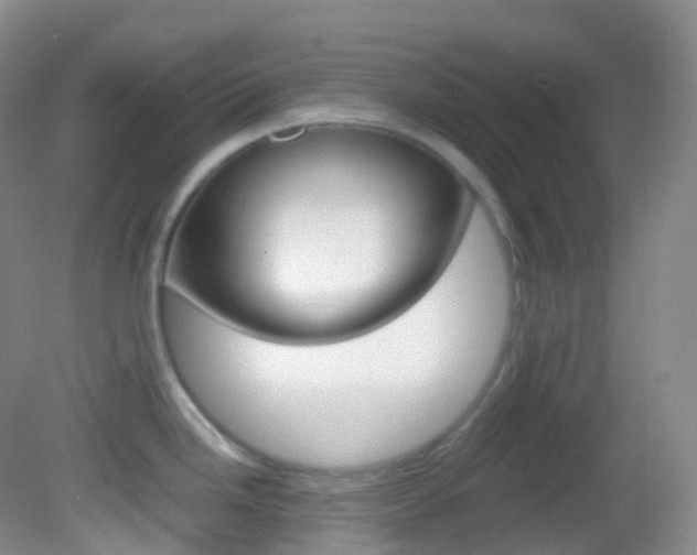 X0000082691246200701260946