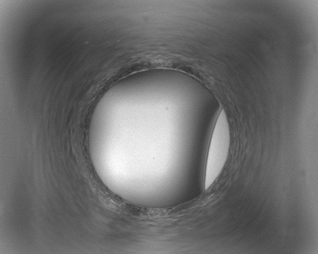 X0000082691249200701260945