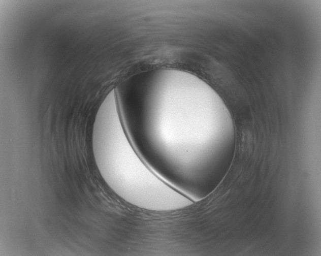 X0000082691250200701260945