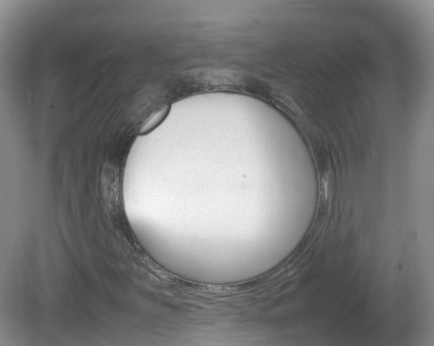 X0000082691251200701260945