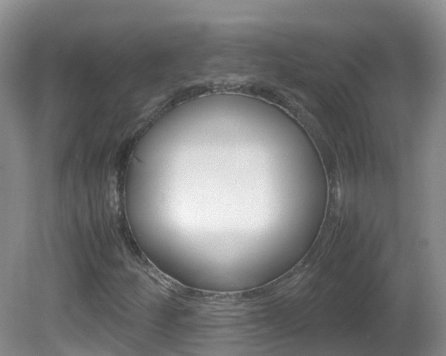 X0000082691252200701260945