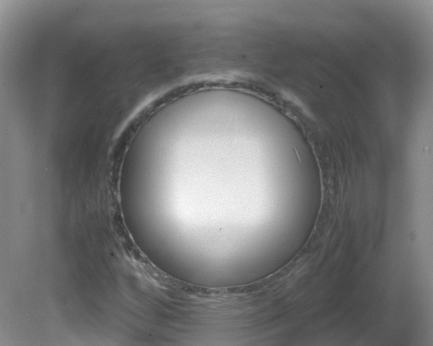 X0000082691256200701260945