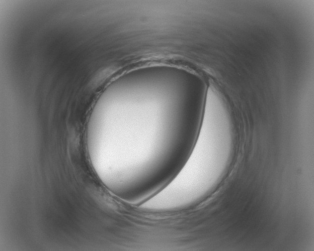 X0000082691257200701260945
