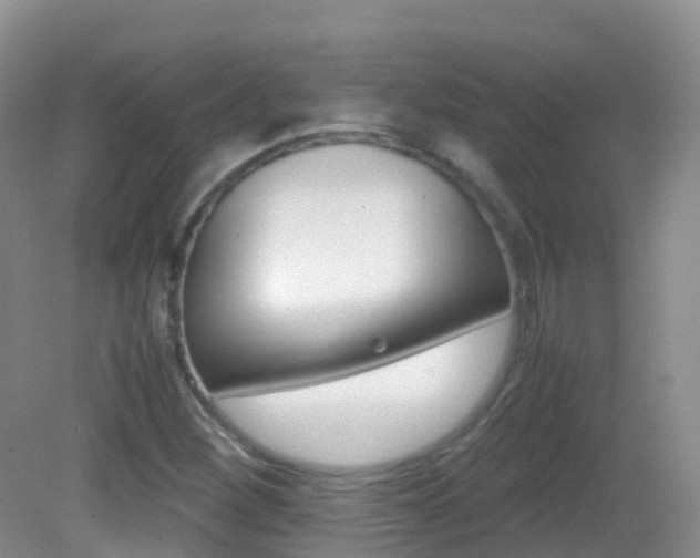 X0000082691260200701260945