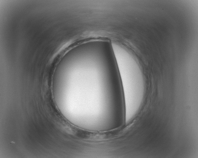 X0000082691261200701260945